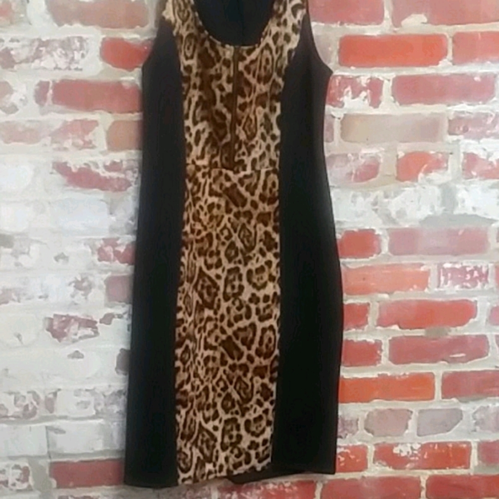 Torrid Dress
